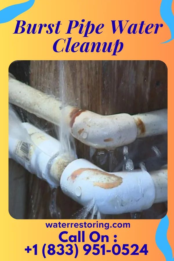 Burst Pipe Water Cleanup in Howey-in-the-Hills, FL