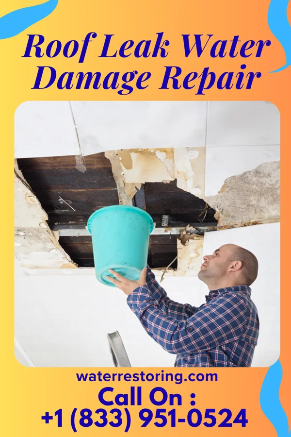 Roof Leak Water Damage Repair in Howey-in-the-Hills, FL