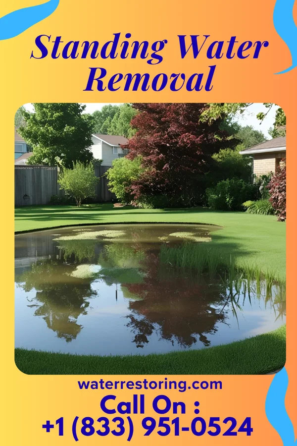 Standing Water Removal in Howey-in-the-Hills, FL